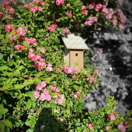 Le Chalet Hautes Pyrenees Holiday home *